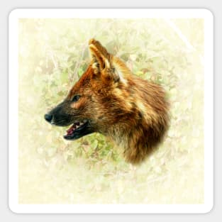 Asian wild dog Sticker